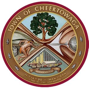 cheektowaga building inspector|town of cheektowaga foil request.